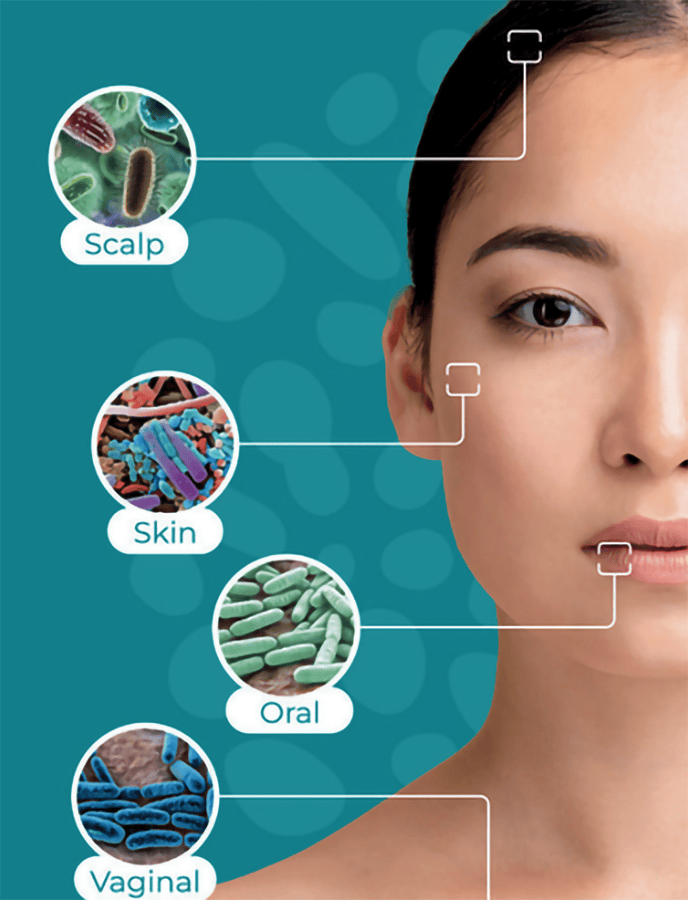 Tester l’impact de vos produits sur les microbiomes