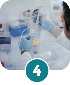 Réalisation de vos tests et analyses