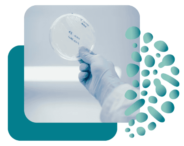 test microbiome capillaire