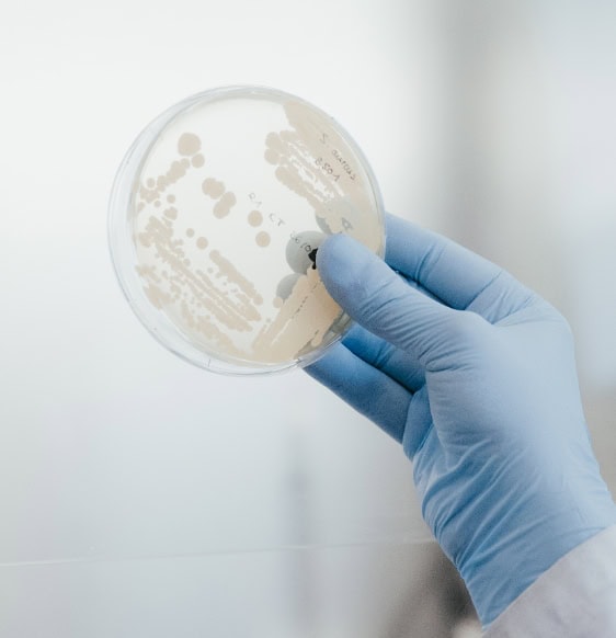 test sur microbiome